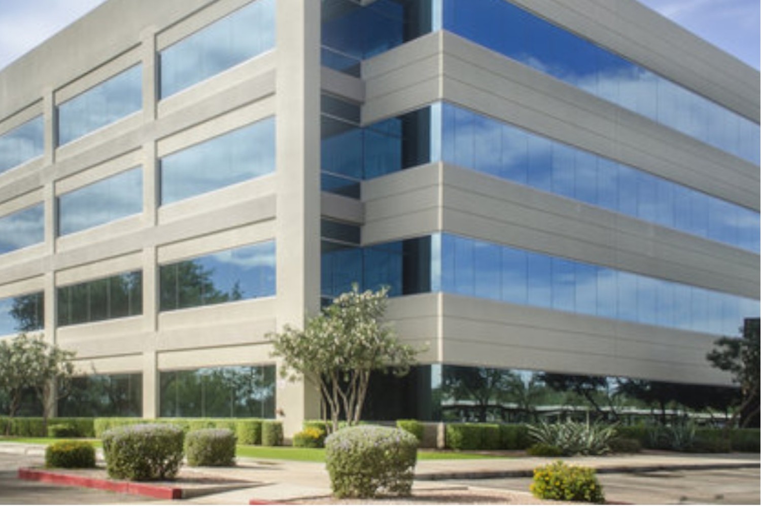 3M Commercial window Film